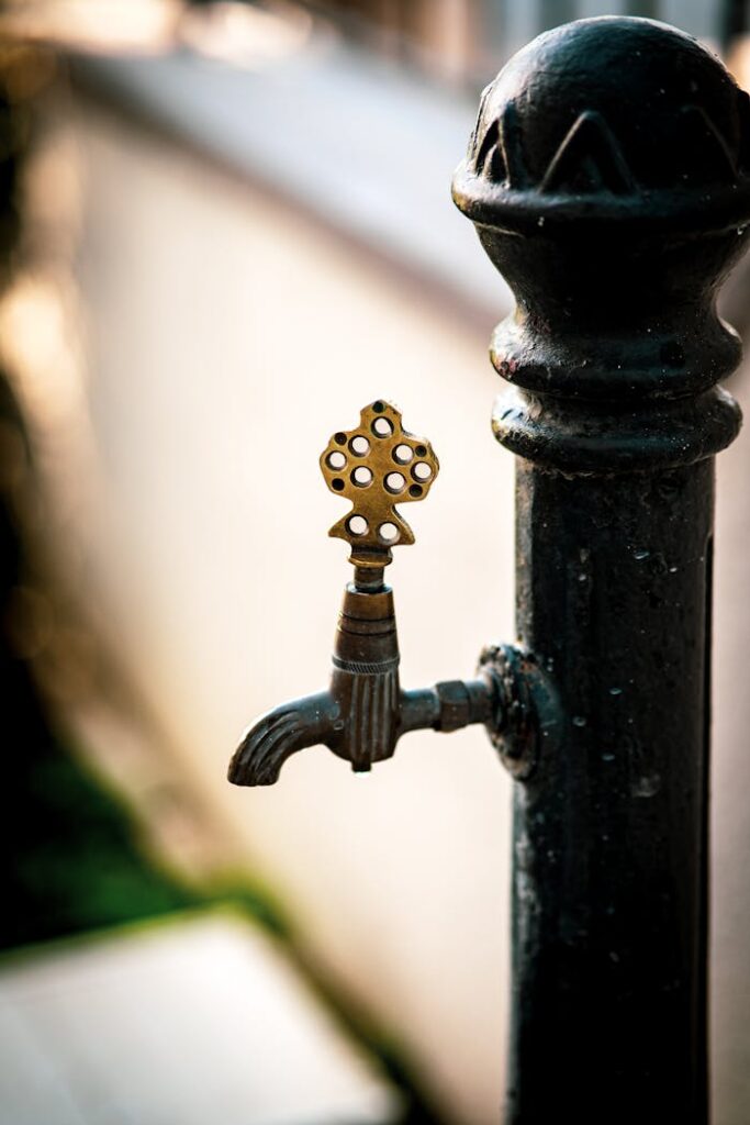 pexels photo 26707759.jpeg