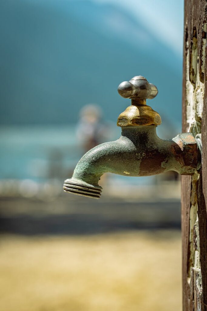 pexels photo 27240737.jpeg