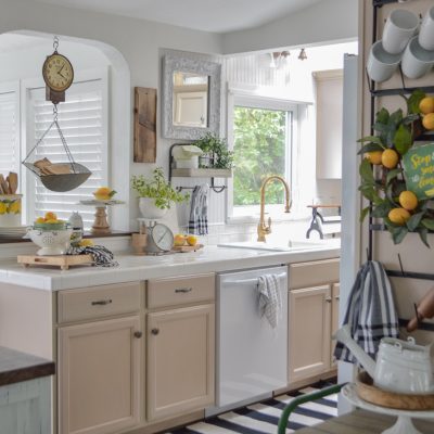 A Q&A with Shannon Fox of @foxhollowcottage